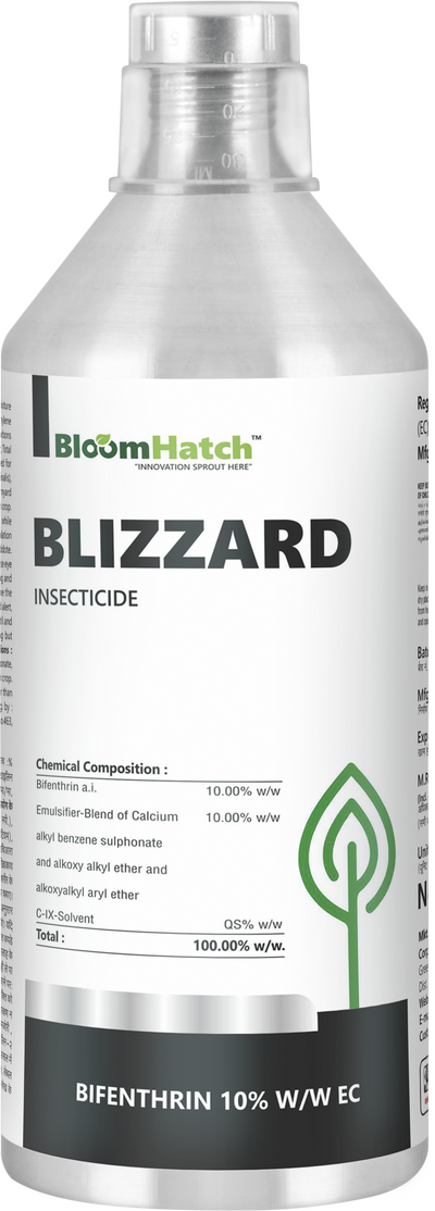 Blizzard