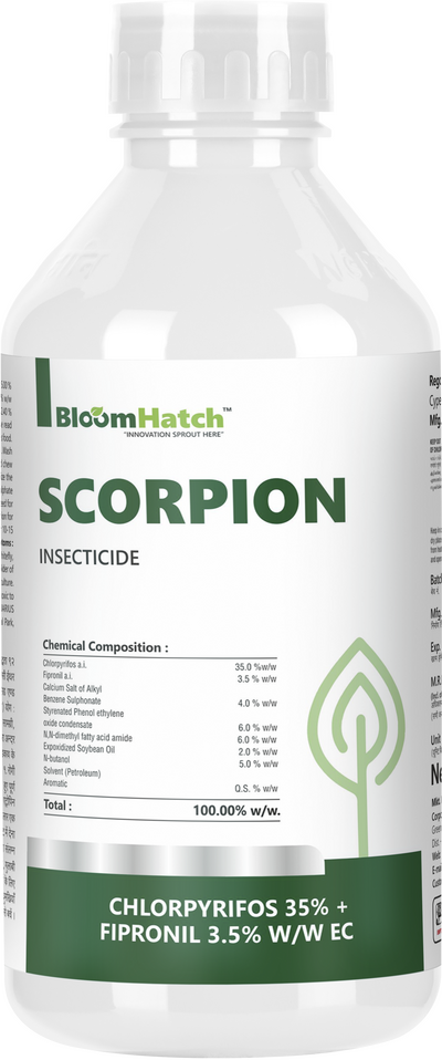 Scorpion