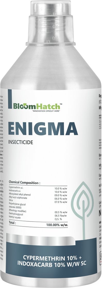 Enigma