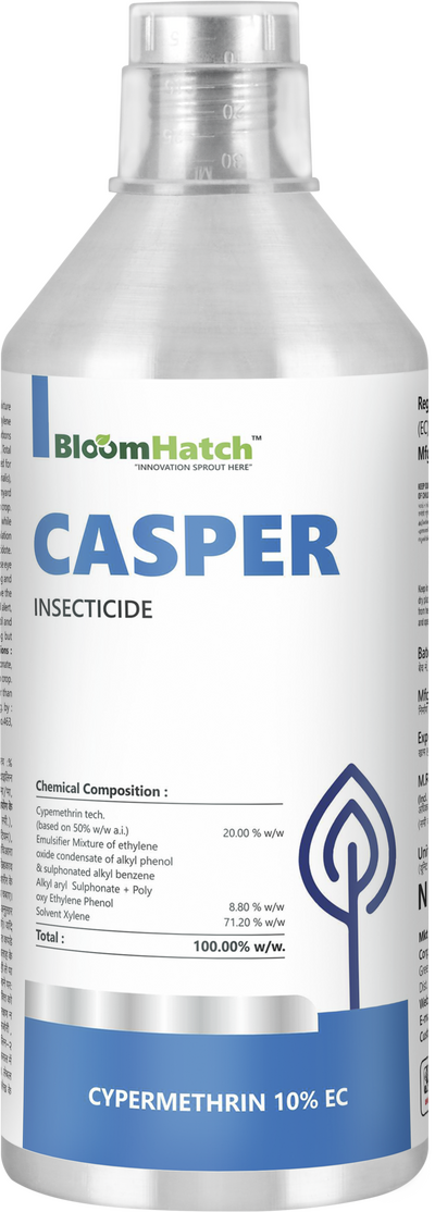 Casper