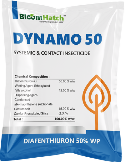Dynamo 50