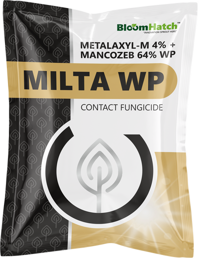 Milta WP