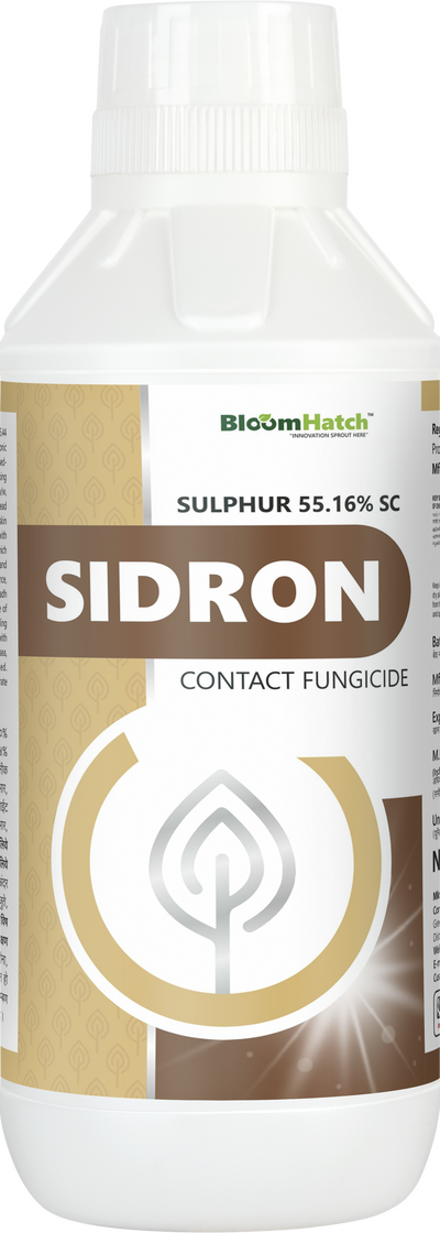 Sidron