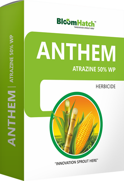 Anthem