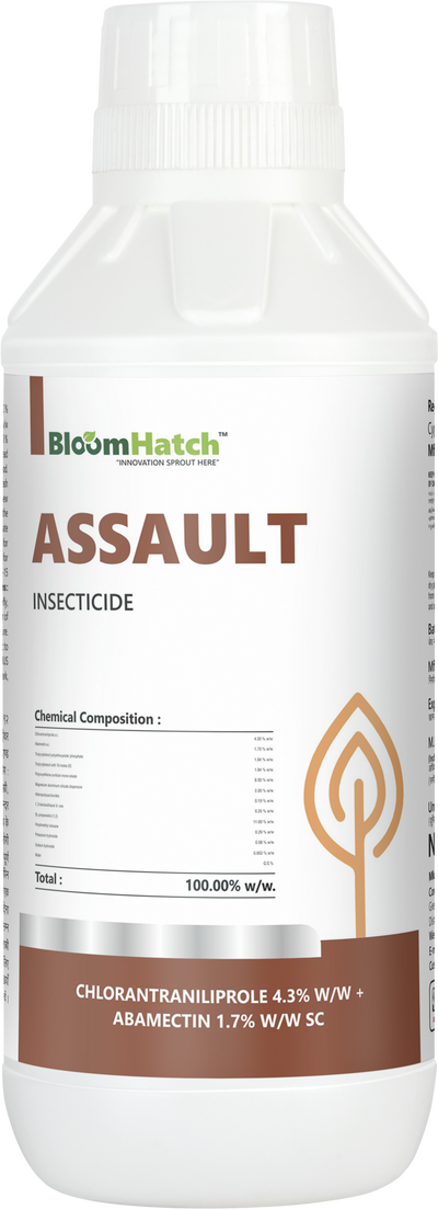 Assault