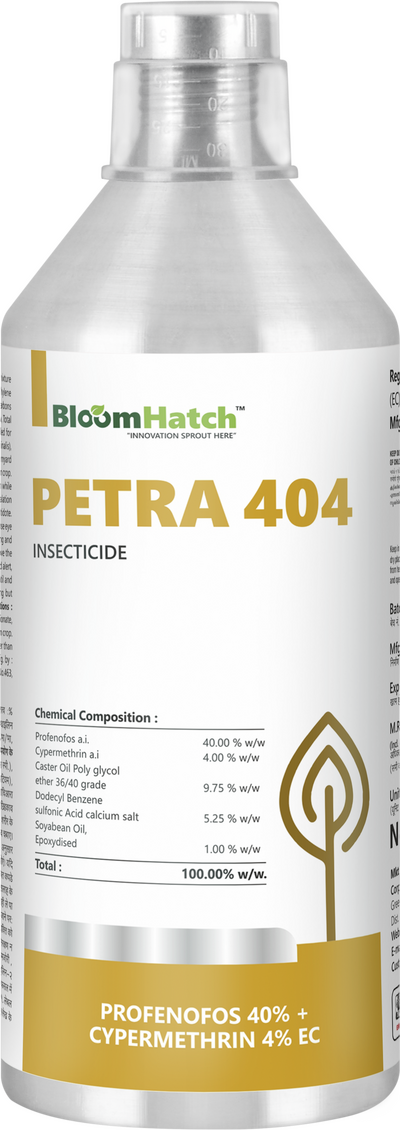 Petra 404