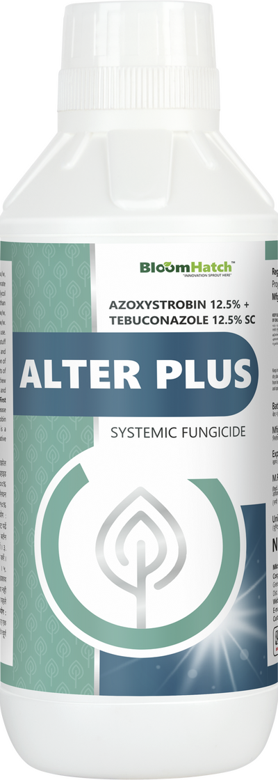 Alter Plus