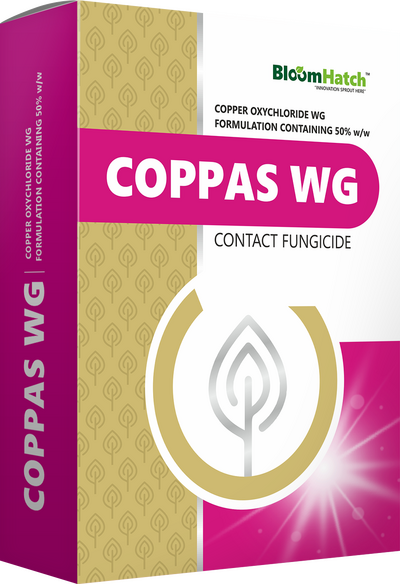 Coppas WG